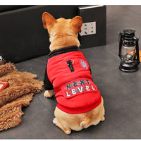 HKM-9076413 Cozy Padded Cotton Coat for Small Dogs – Casual Winter Wear in Black and Red