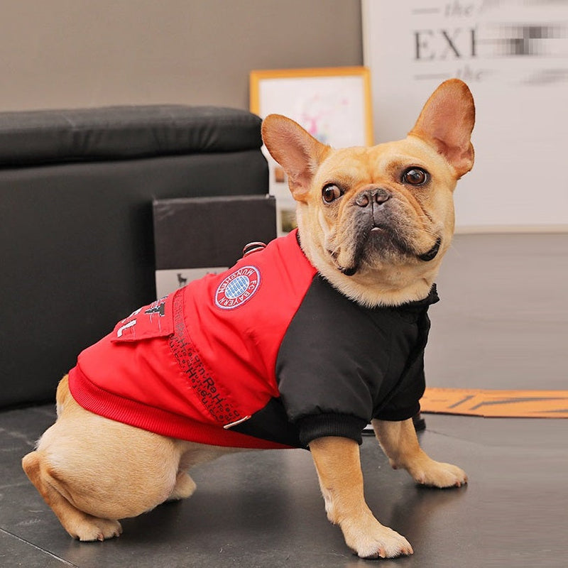 HKM-9076413 Cozy Padded Cotton Coat for Small Dogs – Casual Winter Wear in Black and Red