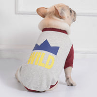 HKM-9077053 Cozy Casual Teddy Dog Sweatshirt for Comfortable Wear