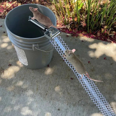HKM-9077949 Rolling Mouse Trap with 19.69in Ramp for Effective and Humane Rodent Control