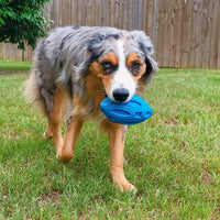 HKM-9090749 Durable Rubber Chew Ball with Squeaker for Medium and Large Dogs, Ideal for Aggressive Chewers