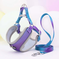 HKM-9091645 Lightweight Polyester Pet Chest Strap with Leash - Multiple Color Options