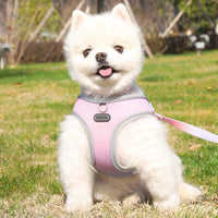 HKM-9091645 Lightweight Polyester Pet Chest Strap with Leash - Multiple Color Options