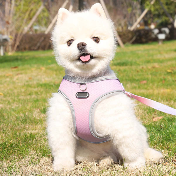 HKM-9091645 Lightweight Polyester Pet Chest Strap with Leash - Multiple Color Options