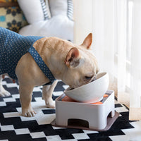 HKM-9093437 Ceramic Pet Bowl with Dining Table and Silicone Mat for Cats and Small to Medium Dogs