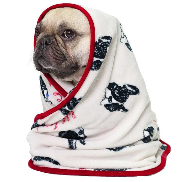 HKM-909395 Cozy Coral Velvet Blanket in Beige Bull Head - Soft and Versatile for Pets and Babies, 70cm x 100cm