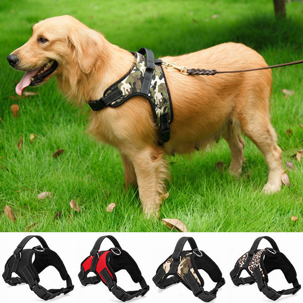 HKM-9098301 Durable Nylon Dog Collar for Medium and Large Breeds in Multiple Colors and Sizes