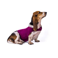 HKM-9098685 Calming Anxiety Vest for Cats – Soothing Acrylic Pet Clothing in Various Sizes and Colors