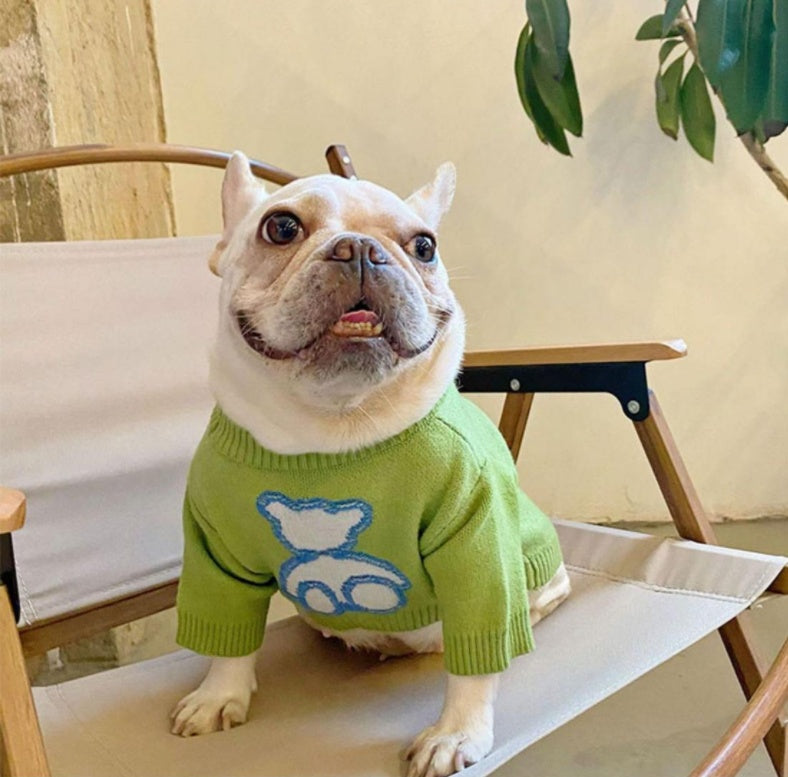 HKM-9107133 Cozy Blue Bear Dog Sweater for Pugs and Corgis - Autumn/Winter Wear
