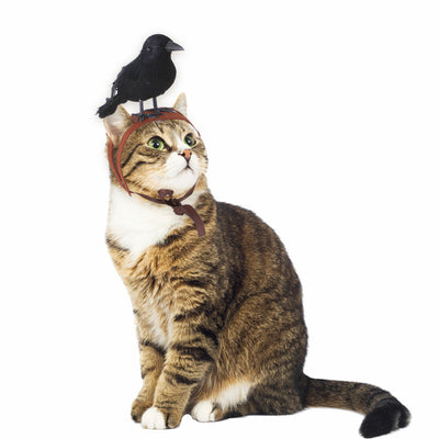 HKM-9109565 Crow-Inspired Cat Dress Headgear for Stylish Pets - Felt Material, Available in S and M
