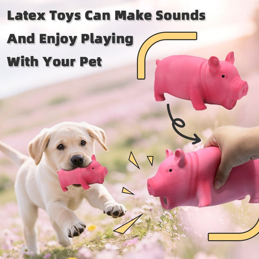 HKM-9112125 Long Lasting Latex Pig Toy for Small, Medium and Large Dogs - 19cm, Medium Pink