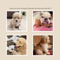 HKM-9115325 Bite-Resistant Luncheon Meat Pet Toy for Cats and Dogs - Cotton Rope Chewing Puzzle with Sound