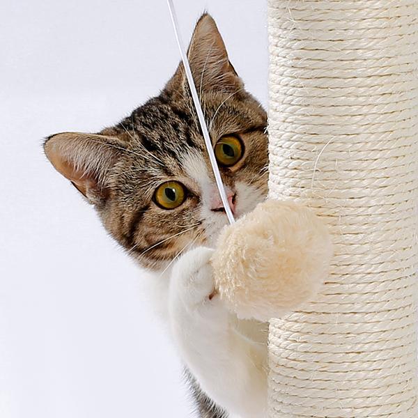 HKM-9115965 Indoor Multi-Activity Cat Playground with Scratch Post, Soft Groomer, and Ball Track