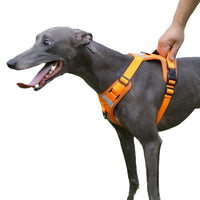 HKM-9120061 Adjustable Large Dog Chest Harness with Leash - Available in Multiple Colors
