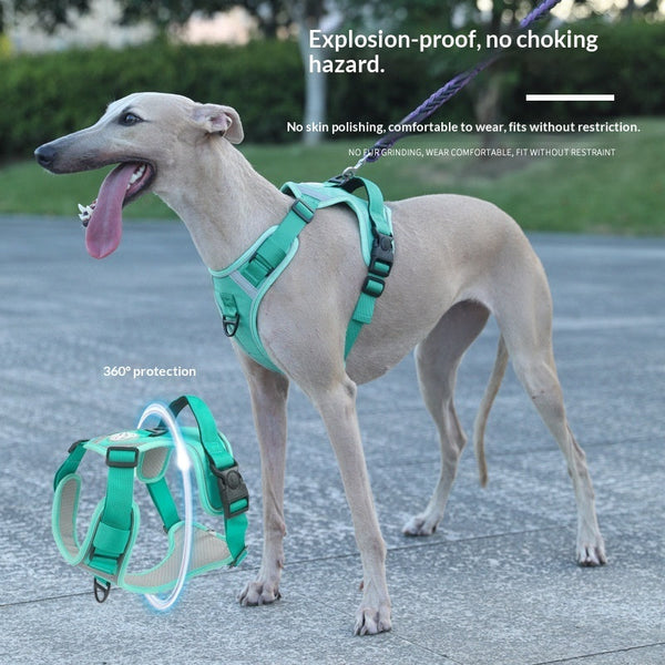 HKM-9120061 Adjustable Large Dog Chest Harness with Leash - Available in Multiple Colors