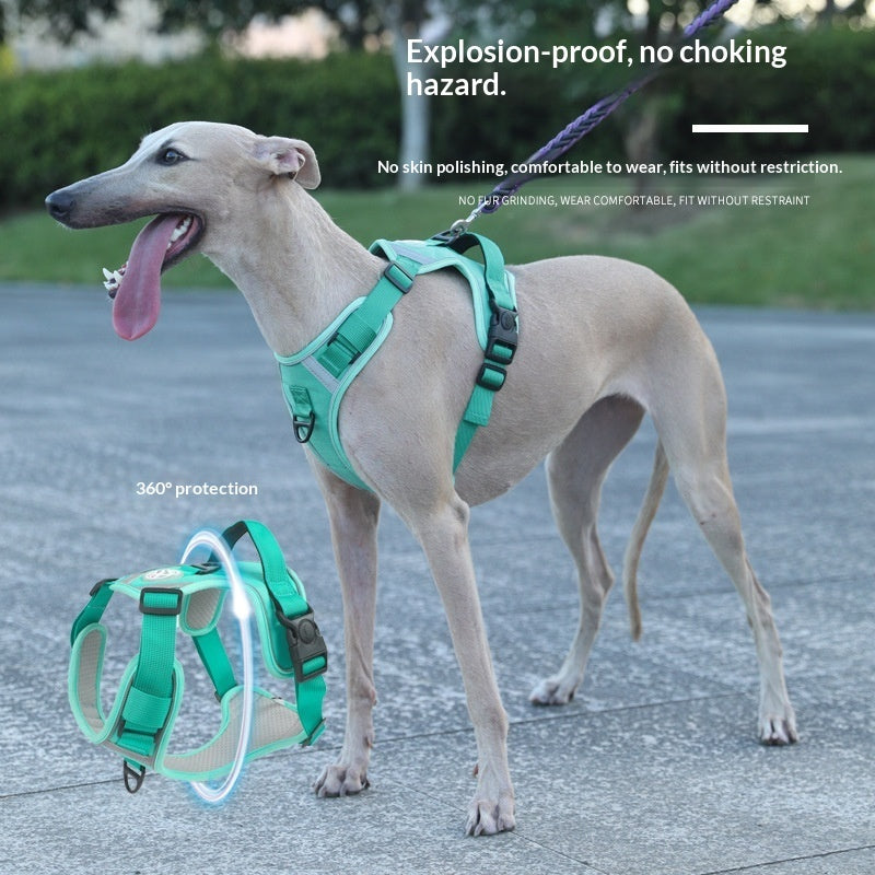 HKM-9120061 Adjustable Large Dog Chest Harness with Leash - Available in Multiple Colors