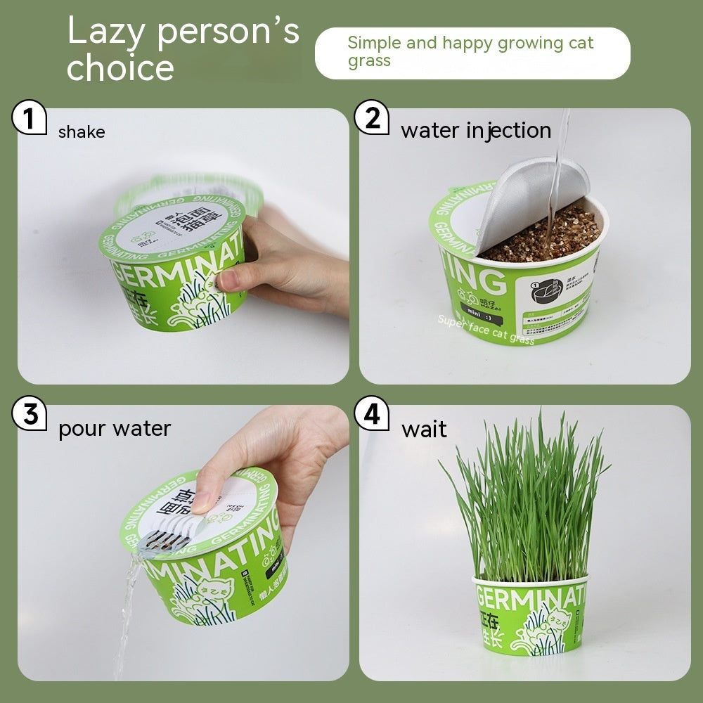 HKM-9121853 Hydroponic Cat Grass Oral Care Snacks for Hairball Relief
