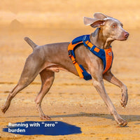 HKM-9125821 Dog Chest Strap Vest - Adjustable Nylon Harness in Orange/Blue and Yellow/Brown
