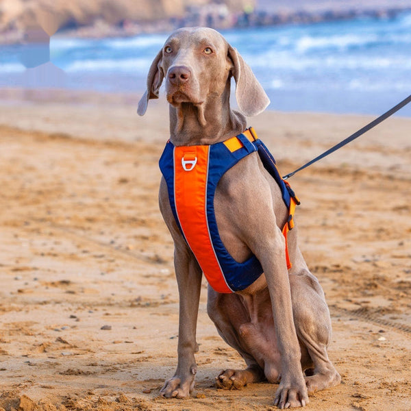 HKM-9125821 Dog Chest Strap Vest - Adjustable Nylon Harness in Orange/Blue and Yellow/Brown