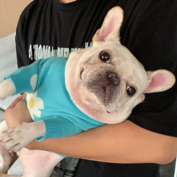 HKM-9129789 Sky Blue Wool Sweater for Dogs and Cats – Sizes S to XXL