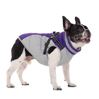HKM-9136317 Waterproof Fleece-Lined Zip-Up Jacket for Dogs ¨C Sizes S to 5XL in Blue, Pink, Purple, and Red