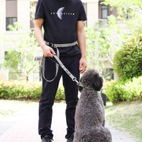 HKM-9137341 1.8m Durable nylon Dog Leash for Traction and Running