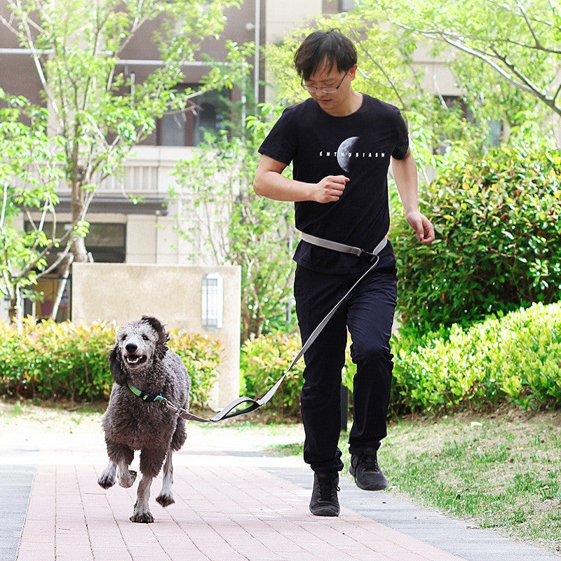 HKM-9137341 1.8m Durable nylon Dog Leash for Traction and Running