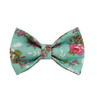 HKM-9139517 Rose Dog Collar Set with Green Background, Detachable Bow and Leash