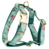 HKM-9139517 Rose Dog Collar Set with Green Background, Detachable Bow and Leash