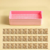 HKM-9143485 Hydroponic Cat Grass Growing Kit - Soilless Planting Box with Seeds in Various Quantities