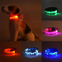 HKM-9145277 Luminous Camouflage Dog Collar with Adjustable Lighting Modes for Night Safety