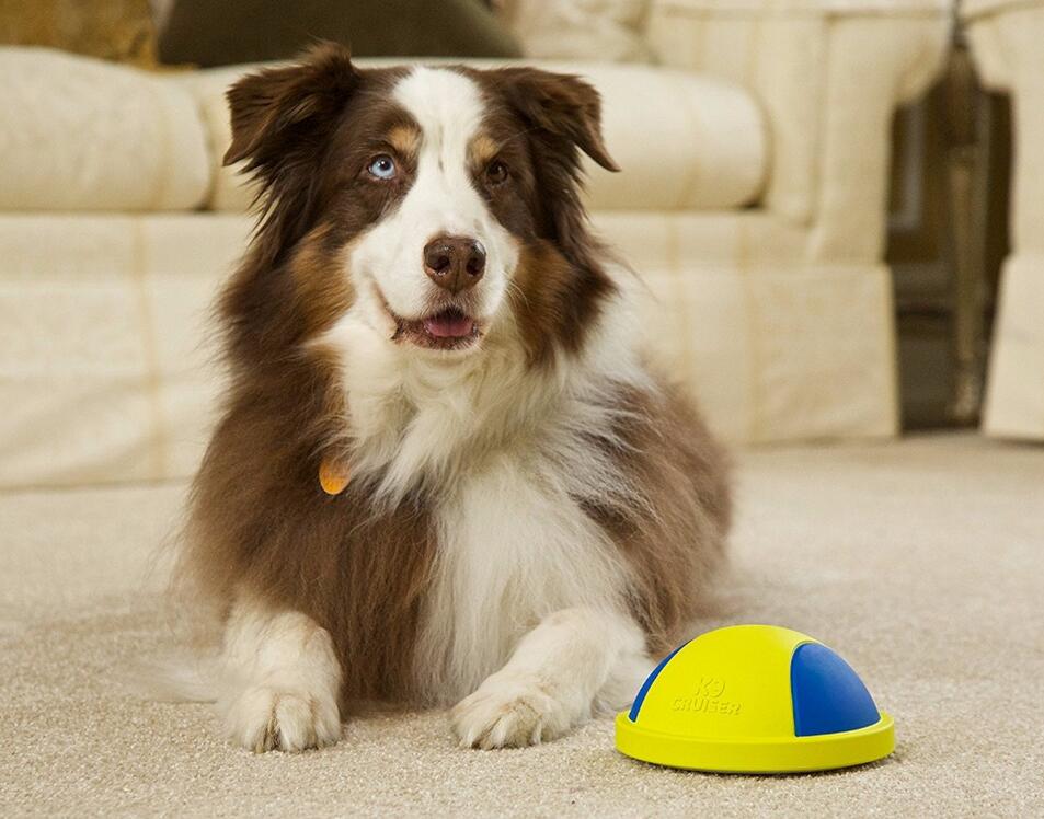 HKM-9148093 Indoor Rubber Ball Dog Toy with Squeaker and Sliding Base for Active Play