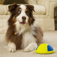 HKM-9148093 Indoor Rubber Ball Dog Toy with Squeaker and Sliding Base for Active Play