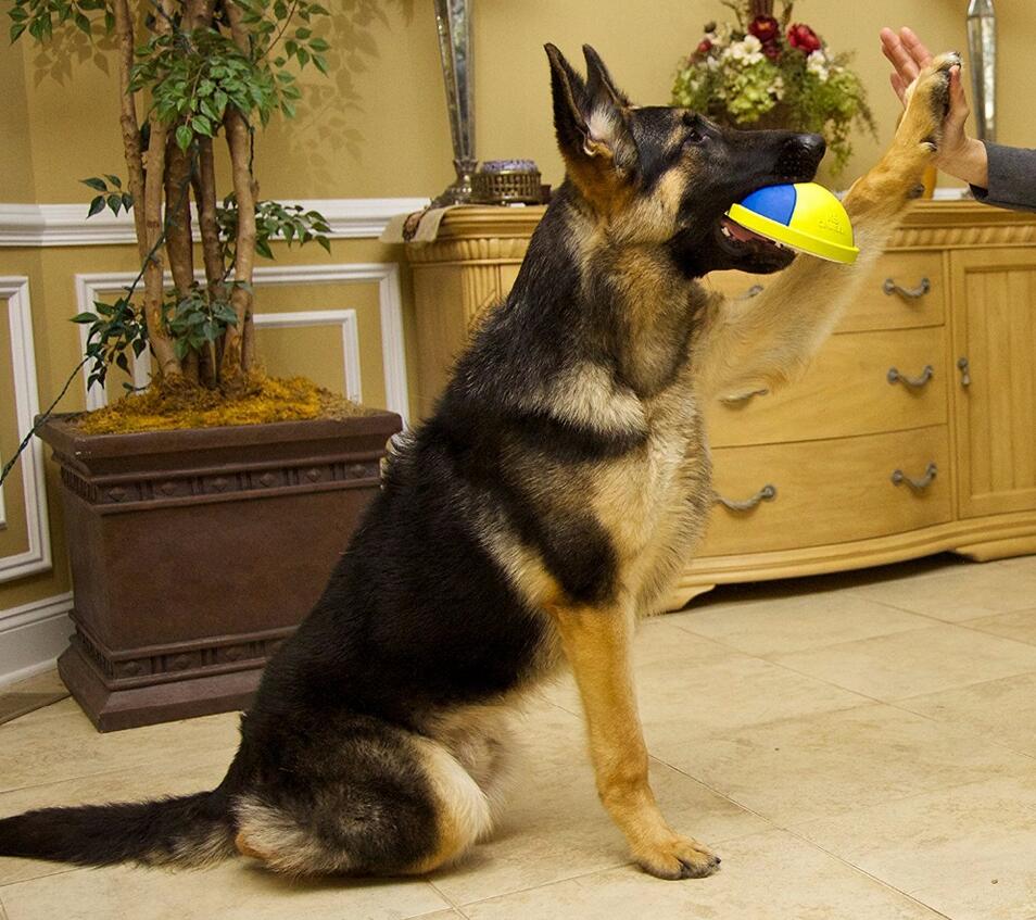 HKM-9148093 Indoor Rubber Ball Dog Toy with Squeaker and Sliding Base for Active Play
