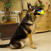 HKM-9148093 Indoor Rubber Ball Dog Toy with Squeaker and Sliding Base for Active Play
