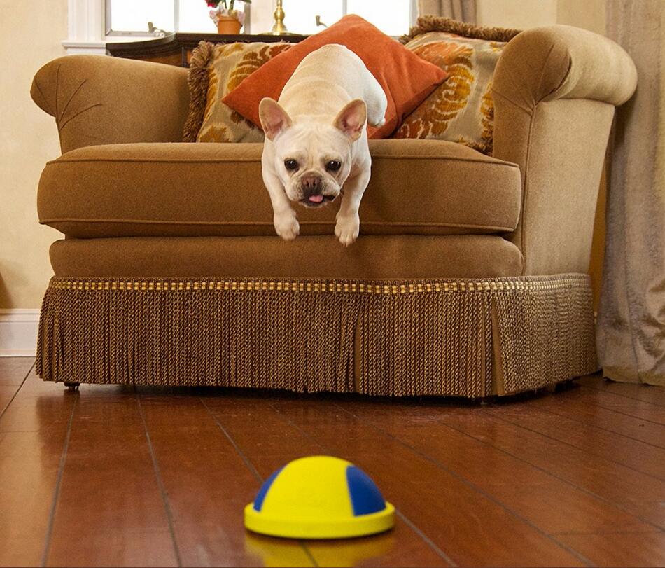 HKM-9148093 Indoor Rubber Ball Dog Toy with Squeaker and Sliding Base for Active Play