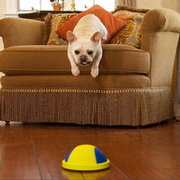 HKM-9148093 Indoor Rubber Ball Dog Toy with Squeaker and Sliding Base for Active Play