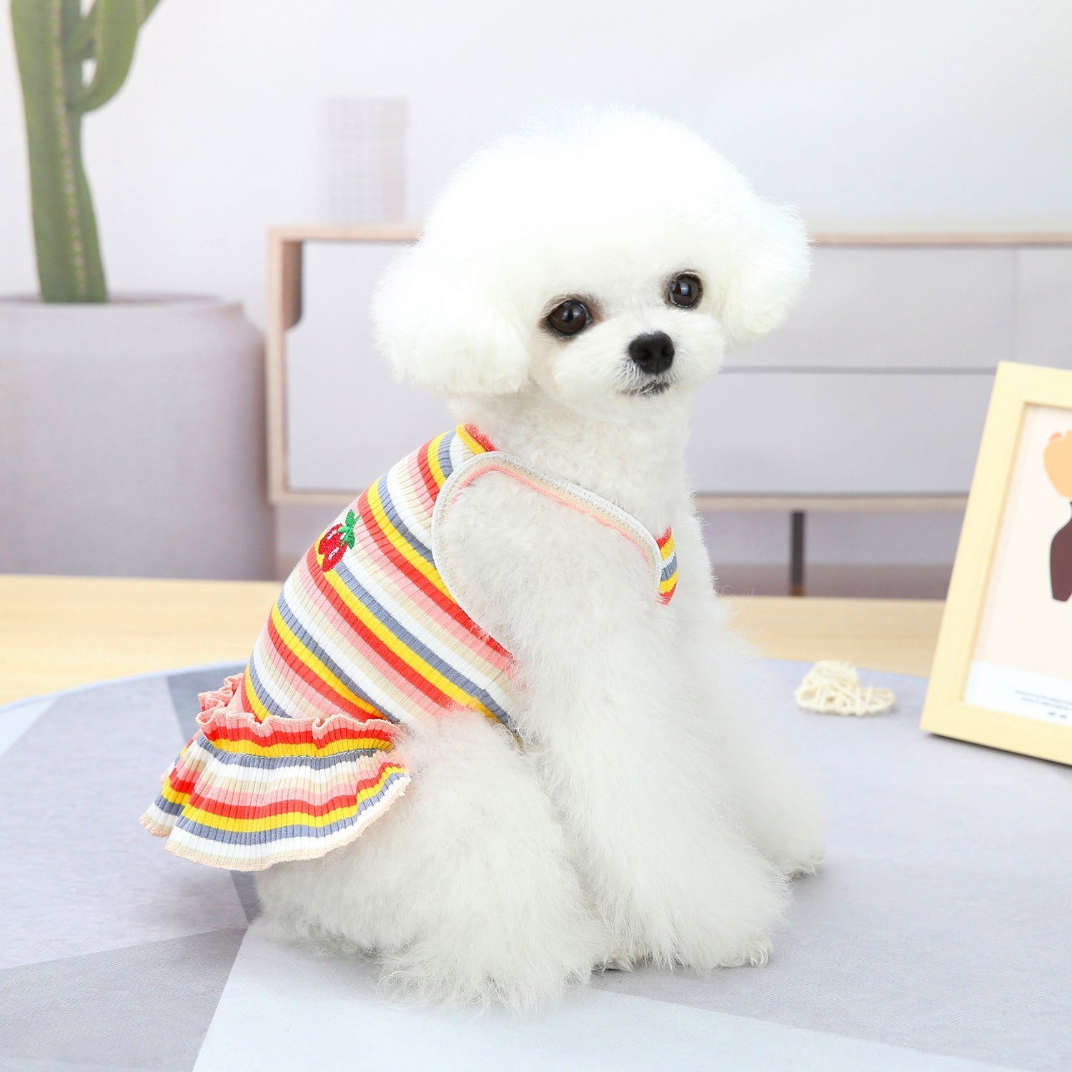 HKM-9149629 Colorful Pet Clothes: Striped Skirts & Vests for Dogs in Pink and Orange