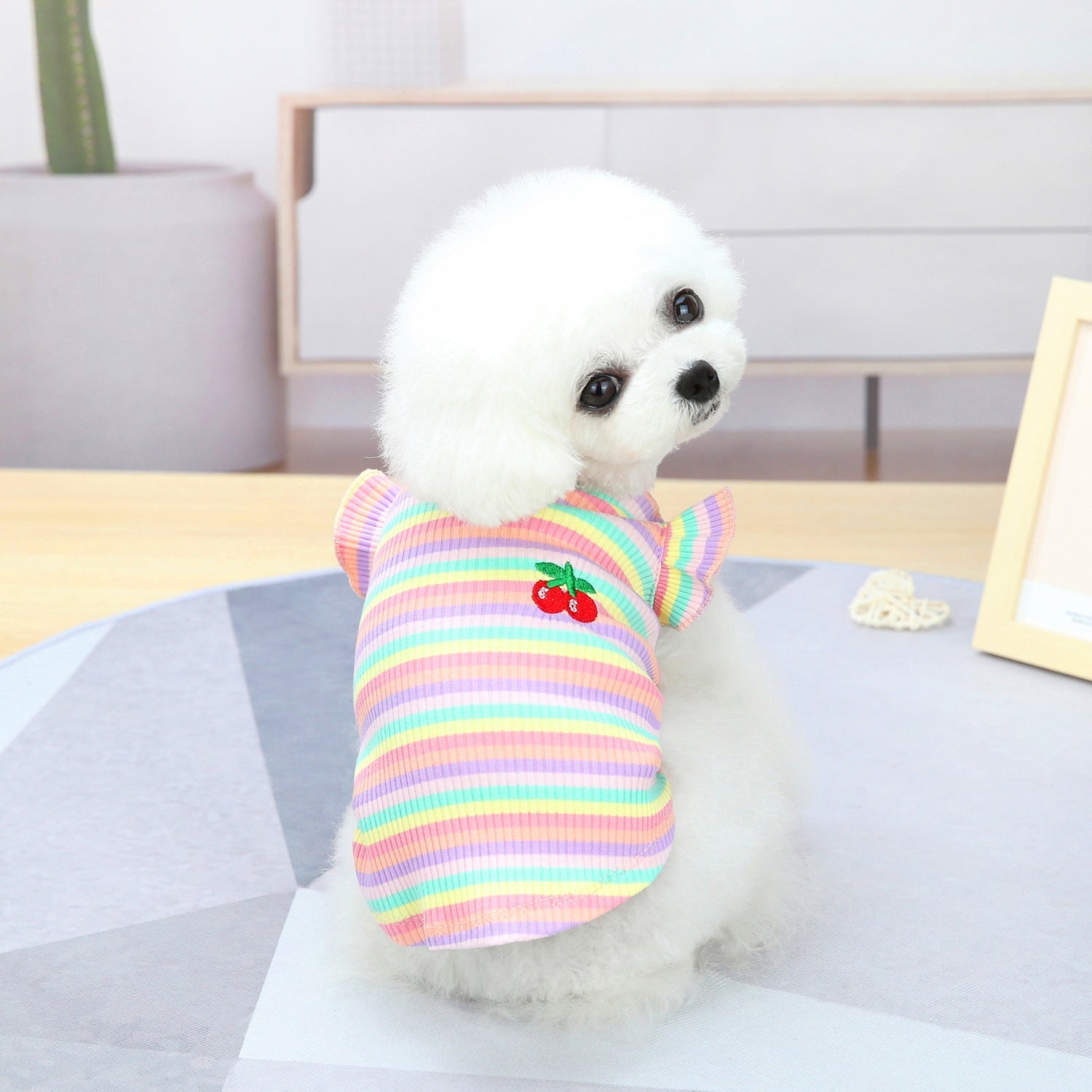 HKM-9149629 Colorful Pet Clothes: Striped Skirts & Vests for Dogs in Pink and Orange