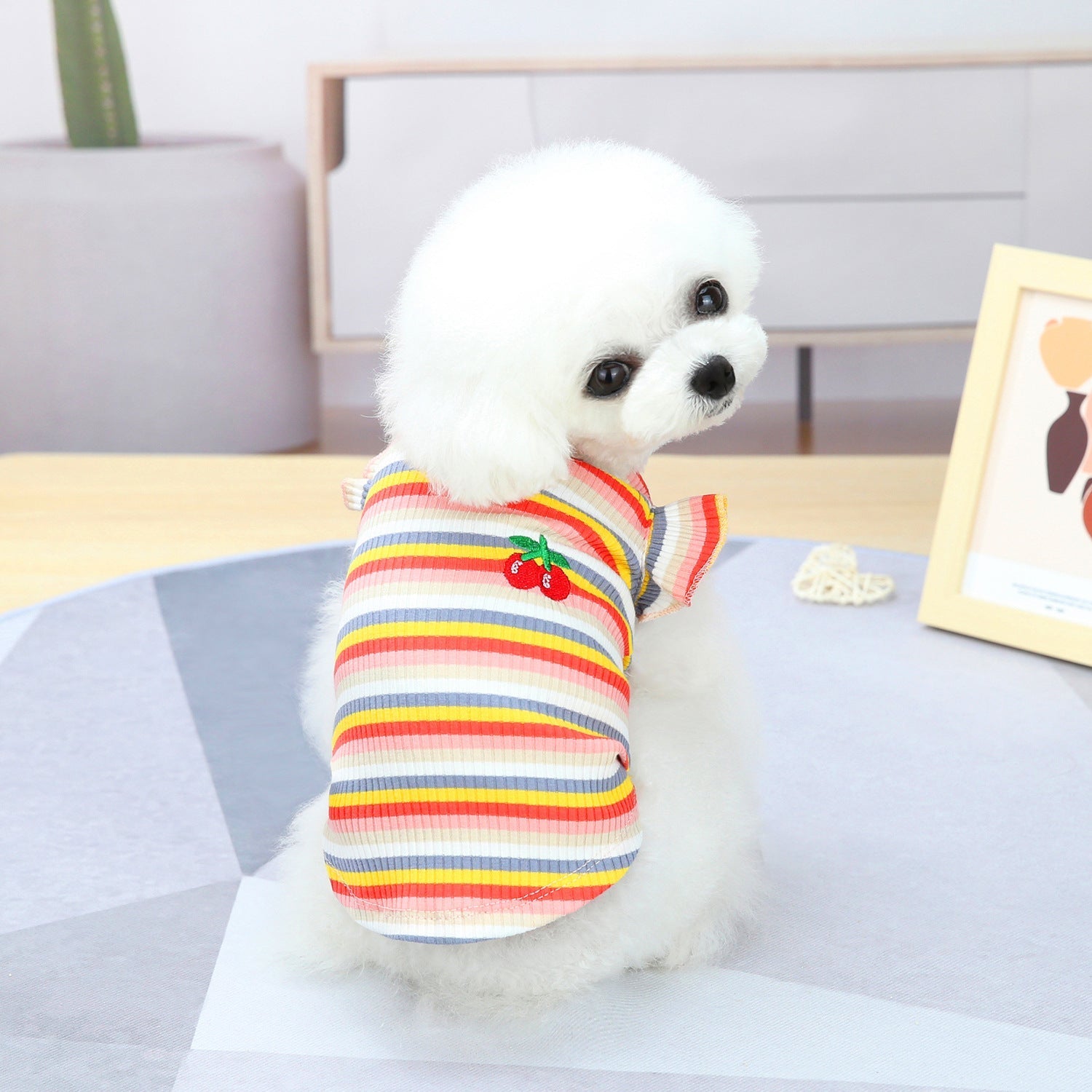 HKM-9149629 Colorful Pet Clothes: Striped Skirts & Vests for Dogs in Pink and Orange