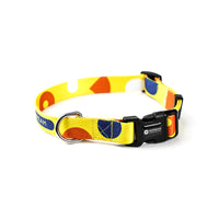 HKM-9152829 Durable High-Density Polyester Dog Collar and Leash with Comfortable Soft Design and Metal Fittings