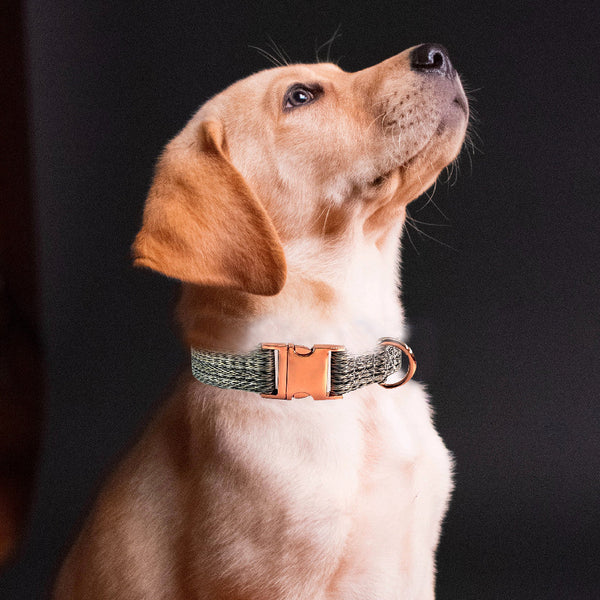 HKM-9154877 Faux Linen Dog Leash with Metal Buckle in Multiple Colors
