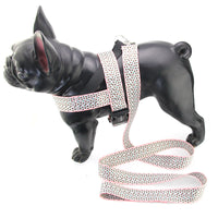 HKM-9158077 Teddy Vest-style Collar and Chest Strap Set for Small and Medium Dogs, Adjustable Nylon Leash and Harness