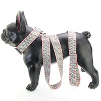 HKM-9158077 Teddy Vest-style Collar and Chest Strap Set for Small and Medium Dogs, Adjustable Nylon Leash and Harness