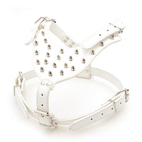 HKM-916499 Durable Three-Piece Pet Rivet Set with Comfortable Harness and Leash
