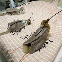 HKM-9169085 DIY Non-Woven Fabric Cat Cockroach Costume Material Kit for Fun Pet Apparel
