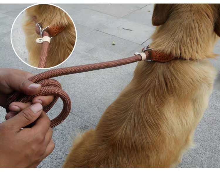 HKM-9170109 Nylon P Chain 2.1M Dog Leash with Hand Holding Rope in Brown