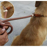 HKM-9170109 Nylon P Chain 2.1M Dog Leash with Hand Holding Rope in Brown