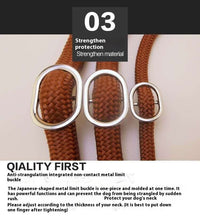 HKM-9170109 Nylon P Chain 2.1M Dog Leash with Hand Holding Rope in Brown