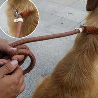 HKM-9170109 Nylon P Chain 2.1M Dog Leash with Hand Holding Rope in Brown